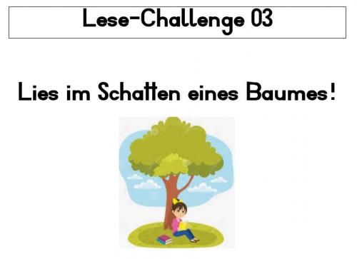 Lesechallenge 03